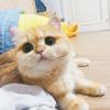 勇敢去追梦