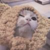 脚踏实地