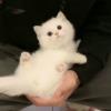 幸福生活