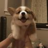 热情似火