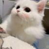 信仰坚定